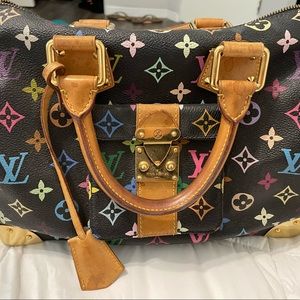 Louis Vuitton Multicolor Speedy